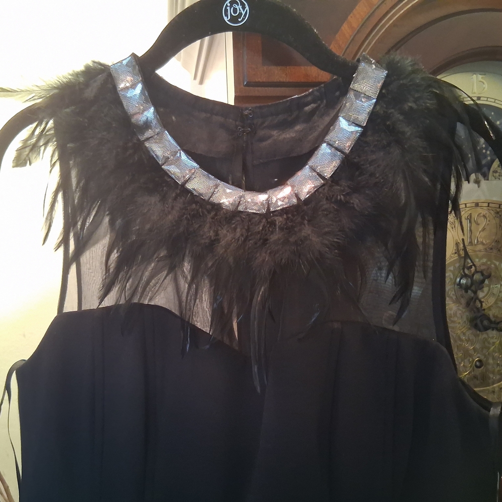 Nue by Shani Black Dress with Feather Details